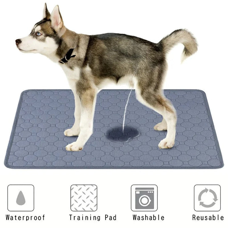 Dog Pee Pad Washable Blanket Reusable Absorbent